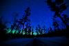 Northern Lights and The Pines on the Gunflint by Stephan Hoglund